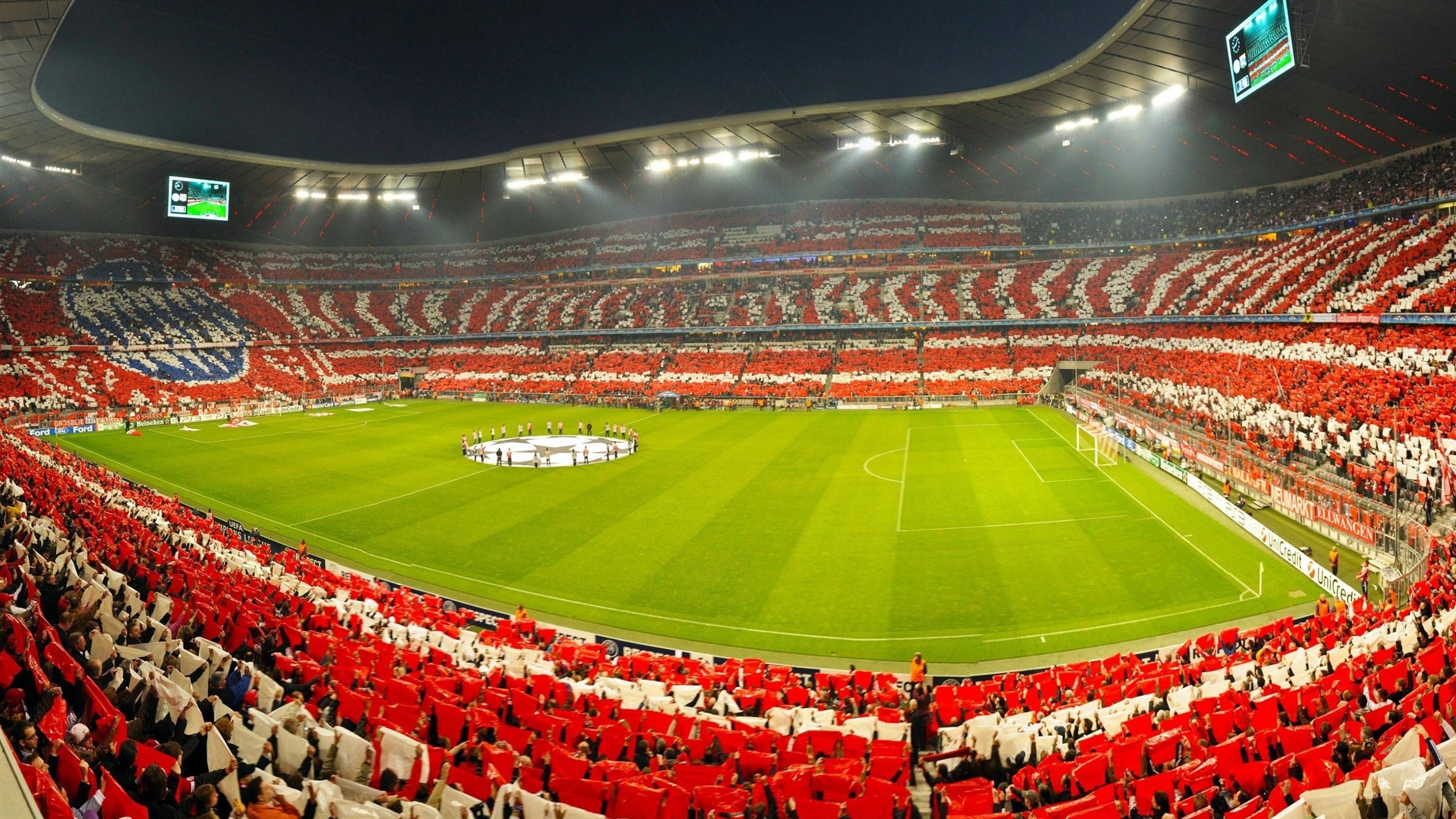 赛场外：粉丝的爱情故事与支持力量，赛场之外的精彩作文